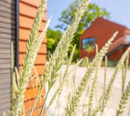 Apartmán De Ole School Ferienapartments Large-apartment 08 , Huus Brekers